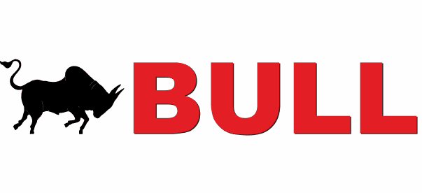 Bull